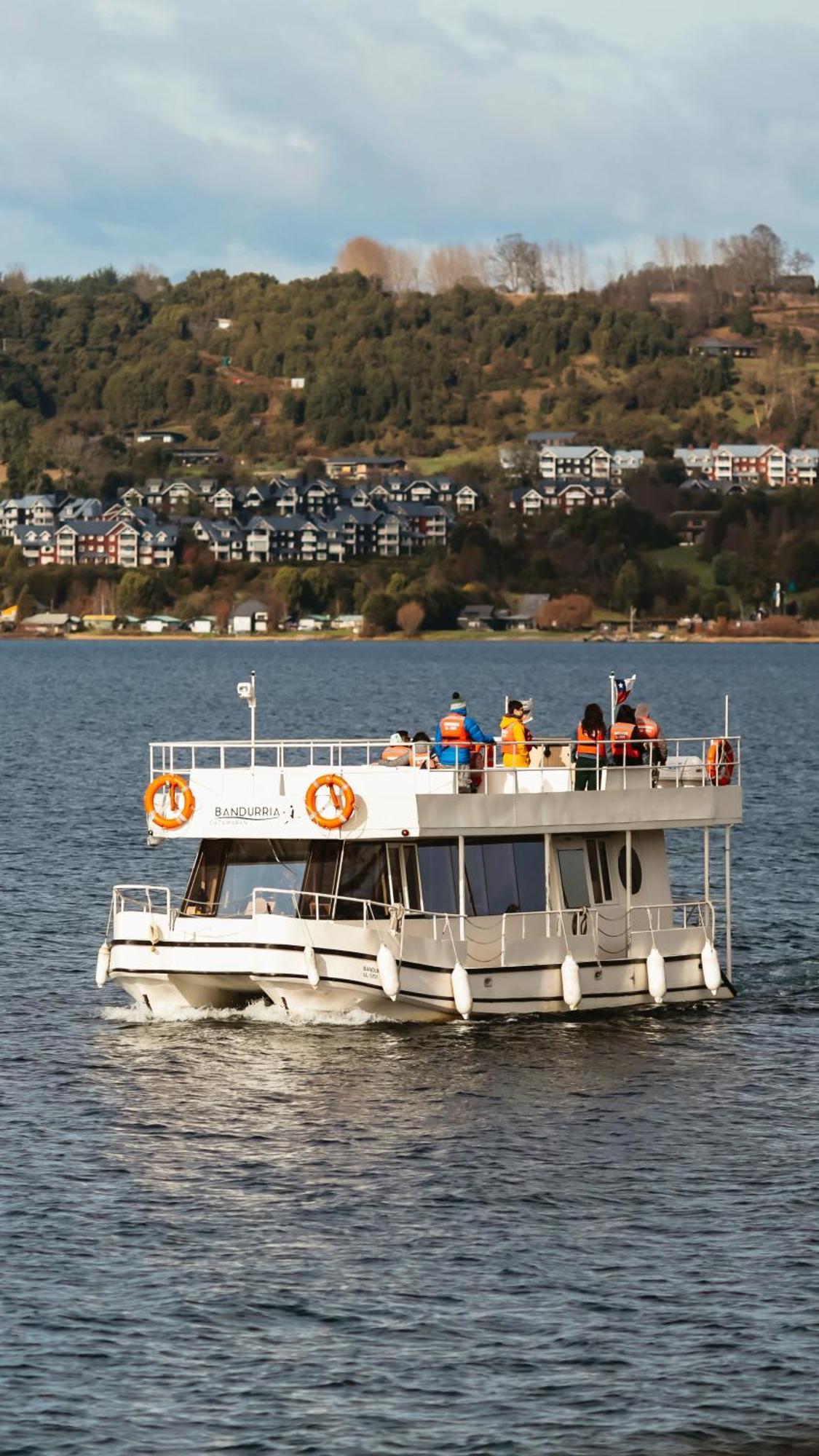 Exquisito Depa Con La Mejor Vista Al Lago Y Tinaja Puerto Varas Exteriör bild